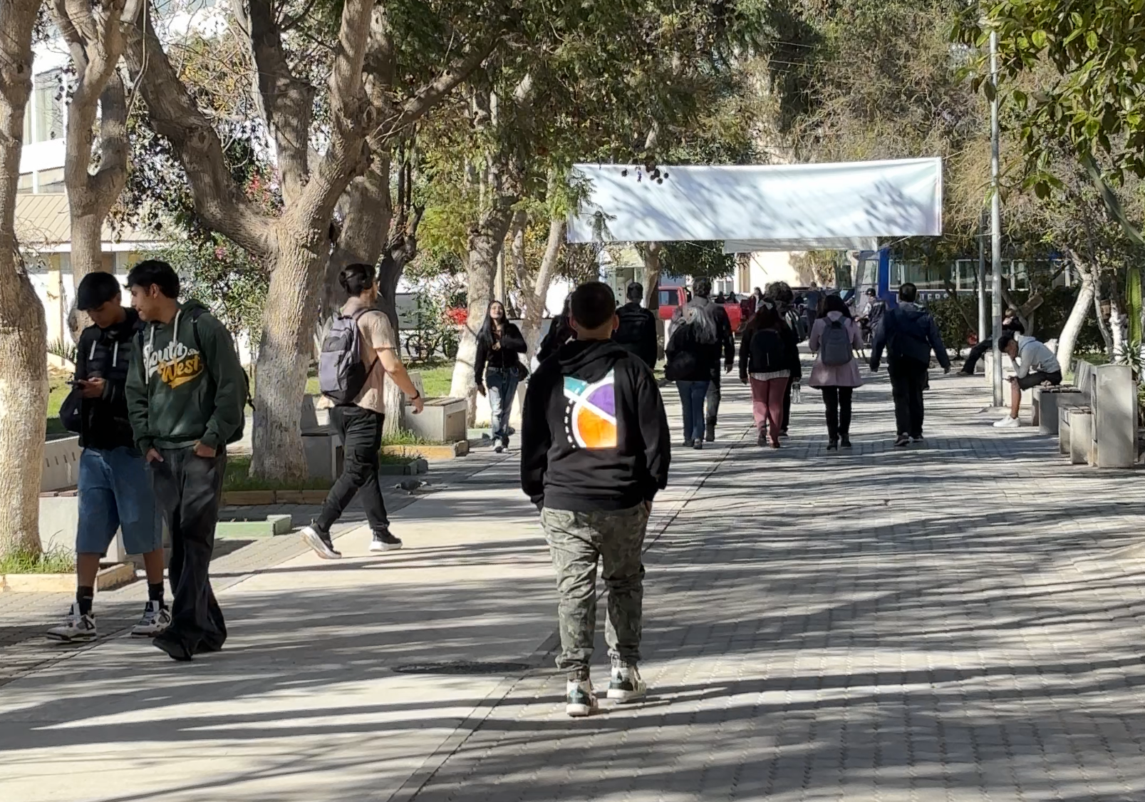 encuesta nacional para diagnosticar el desarrollo de sus educaciones inclusivas